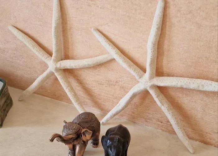 Beachfront Oasis Vip Club